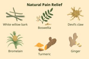 an infographic which shows 6 natural herbs which are said to be natural pain reliever of inflammatory, anxiety, fatigue like problems.